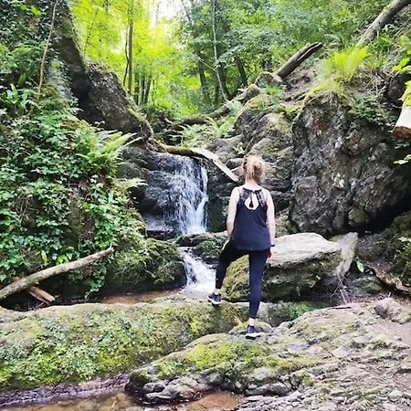 Au Jardin D'eden *